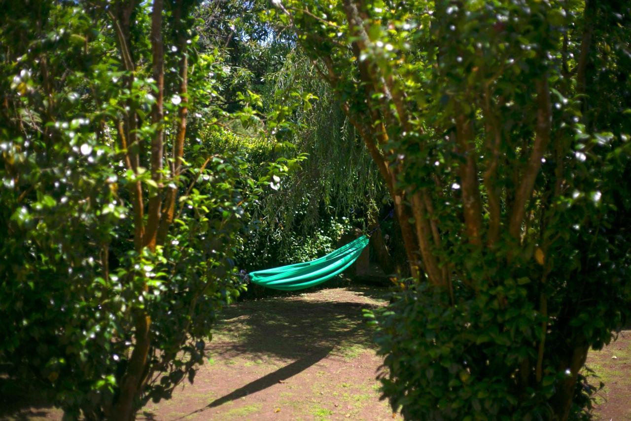 Villa Varzea - Garden Suite ภายนอก รูปภาพ